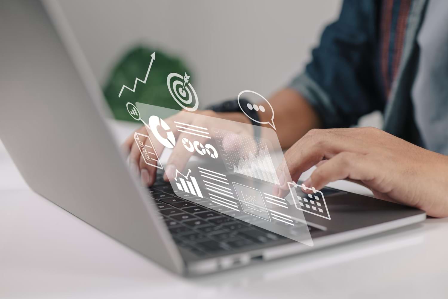 brand management services